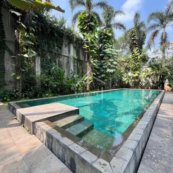 Rumah Kemang Tropical Modern (3)